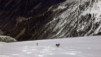 Aiguille_Tour_013.jpg