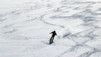 Aiguille_Tour_018.jpg