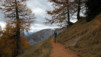 Albinen_006.jpg