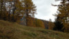 Albinen_007.jpg