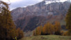 Albinen_008.jpg
