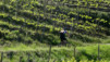 Albinen_13_003