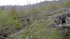 Albinen_13_007
