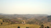 Aljoun_Jerash_002.jpg