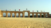 Aljoun_Jerash_012.jpg