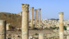 Aljoun_Jerash_015.jpg