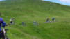 AlpTT-Mt-Joly_012.jpg