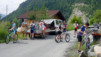 AlpTT_Demecre_001.jpg