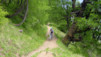 AlpTT_Demecre_005.jpg