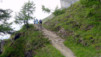 AlpTT_Demecre_006.jpg