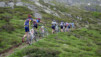AlpTT_Demecre_012.jpg