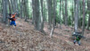 Alpe_Neggia_006