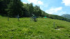 Alpe_Neggia_019