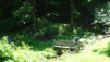 Alpe_Neggia_027