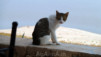 Amizmiz_036
