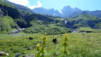 Anteme_11_012