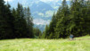 Anteme_11_032