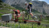 Ardeve_003.jpg