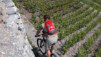 Ardeve_004.jpg