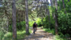 Ardeve_006.jpg