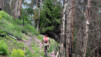 Ardeve_010.jpg