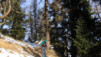 La forêt du Larzey : un endroit idéal pour aérer des raquettes à neige en mal de compagnie. Arpille_002.jpg