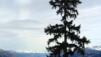 Arpille_014.jpg