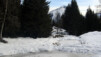 La petite clairière marécageuse du Coeur prisonnière des glaces. Arpille_016.jpg