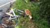 Arpille_Bovine_09_0001
