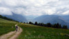Arpille_Bovine_09_0005