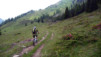Arpille_Bovine_09_0009