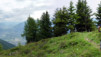 Arpille_Bovine_09_0011