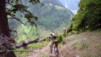 Arpille_Bovine_09_0016