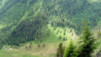 Arpille_Bovine_09_0018