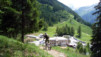 Arpille_Bovine_09_0020