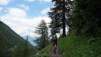 Arpille_Bovine_09_0022