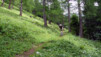 Arpille_Bovine_09_0025