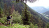 Arpille_Bovine_09_0026