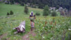Arpille_Bovine_09_0027
