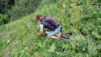 Arpille_Bovine_09_0028