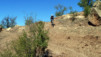 Atman_017