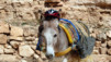 Atman_026
