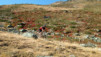Augstbordpass_014.jpg