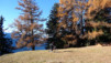 Bachalp_12_001