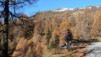 Bachalp_12_002