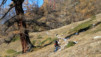 Bachalp_12_004