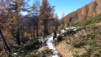 Bachalp_12_006