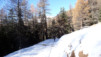 Bachalp_12_009