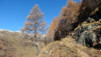 Bachalp_12_011