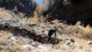 Bachalp_12_016